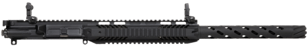 Chiappa Firearms CF500.219